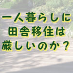 単身者には田舎暮らしは無理だと思う理由